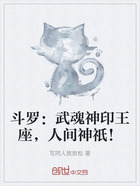 斗罗：武魂神印王座，人间神祇！在线阅读