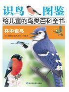 林中雀鸟（识鸟图鉴：给儿童的鸟百科全书）在线阅读