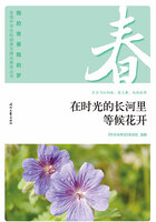 “我的青春我的梦”全国中学生校园美文精品集萃丛书:在时光的长河里等候花开在线阅读