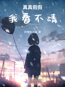 真真假假我看不清