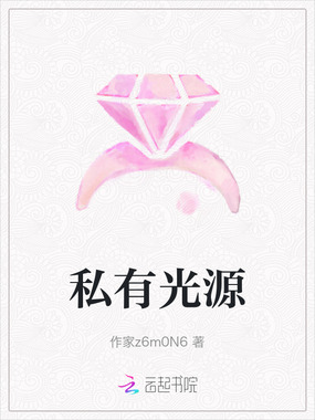 私有光源在线阅读