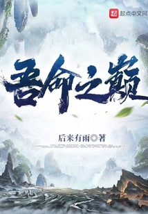 吾命之巔