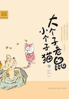 大个子老鼠小个子猫13（注音版）