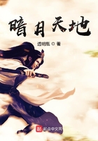 暗月天地在线阅读