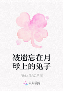 被遺忘在月球上的兔子