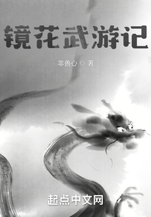 鏡花武游記