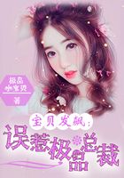 寶貝發(fā)飆：誤惹極品總裁在線閱讀