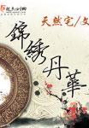 锦绣丹华在线阅读