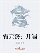 霜云荡:开端在线阅读
