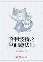 哈利波特之空間魔法師在線閱讀