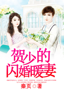 贺少的闪婚暖妻在线阅读