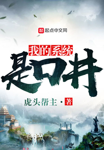 我的系統(tǒng)是口井