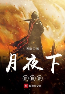 月夜下的白路