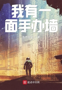 我有一面手辦墻