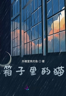 箱子里的貓