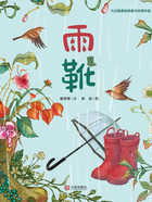 雨靴（大白鲸原创图画书优秀作品）在线阅读