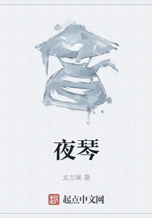 夜琴