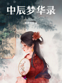 中辰夢華錄