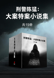刑警陈猛：大案特案小说集（全19册）