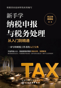 新手學納稅申報與稅務處理從入門到精通