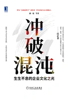 冲破混沌:生生不息的企业文化之光在线阅读