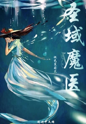 圣域魔医在线阅读