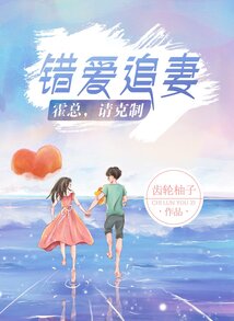 錯愛追妻：霍總，請克制