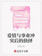 愛情與事業沖突后的抉擇在線閱讀