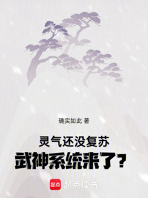 灵气还没复苏,武神系统来了?