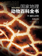哺乳动物:有蹄动物(国家地理动物百科全书)在线阅读