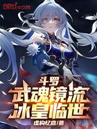 斗罗:武魂镜流,冰皇临世在线阅读
