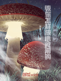 菊下樓絕命毒師之文風喪膽的味道