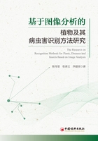 基于图像分析的植物及其病虫害识别方法研究