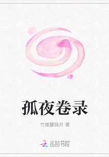 孤夜卷录
