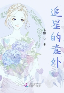 追星的意外