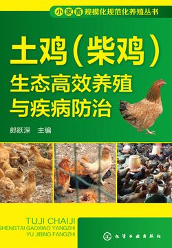 土鸡（柴鸡）生态高效养殖与疾病防治 封面