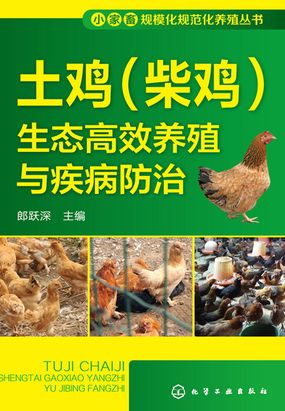 土鸡(柴鸡)生态高效养殖与疾病防治在线阅读