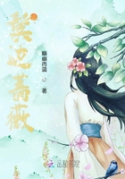 鬢邊薔薇在線閱讀