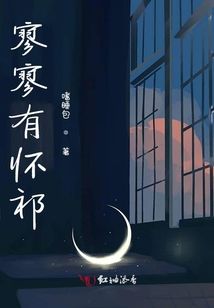 寥寥有懷祁