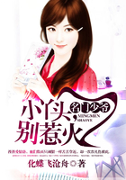 名门少爷:小丫头,别惹火在线阅读