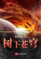 樹下蒼穹在線閱讀