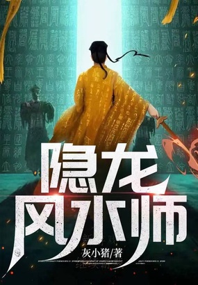 隐龙风水师在线阅读