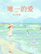 唯一的爱在线阅读