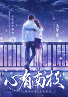 心有南枝在线阅读