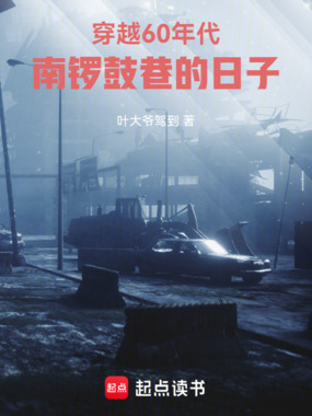 穿越60年代:南锣鼓巷的日子在线阅读