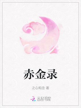 赤金录在线阅读