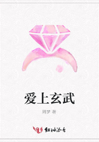 愛上玄武在線閱讀