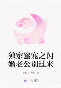 独家蜜宠之闪婚老公别过来