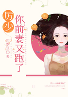 厉少,你前妻又跑了在线阅读