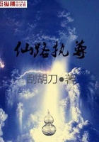 仙路執尊在線閱讀